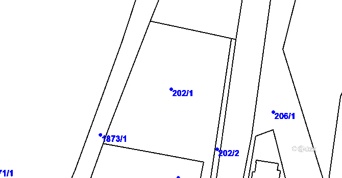 Parcela st. 202/1 v KÚ Jistebnice, Katastrální mapa