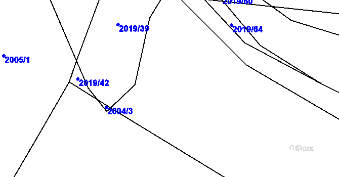 Parcela st. 2019/41 v KÚ Plechov, Katastrální mapa
