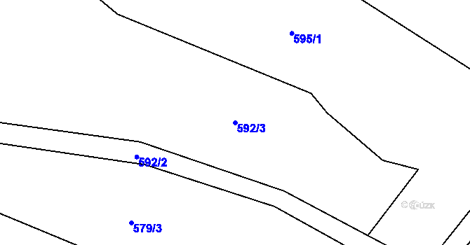 Parcela st. 592/3 v KÚ Neveklovice, Katastrální mapa