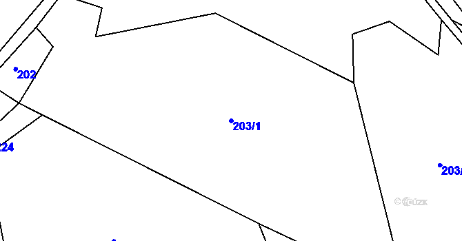 Parcela st. 203/1 v KÚ Jizbice u Náchoda, Katastrální mapa