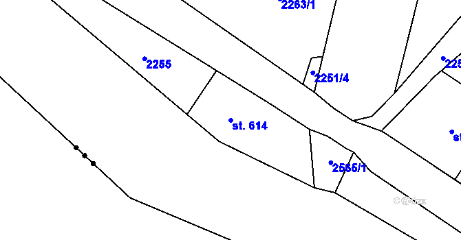 Parcela st. 614 v KÚ Antonínov, Katastrální mapa
