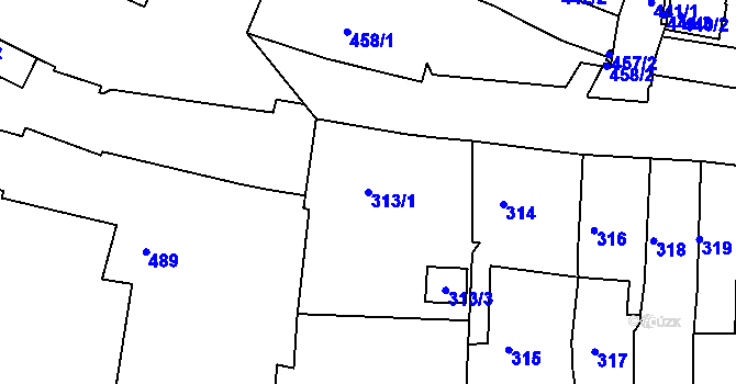 Parcela st. 313/1 v KÚ Kadaň, Katastrální mapa