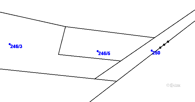 Parcela st. 246/5 v KÚ Kadov u Sněžného, Katastrální mapa