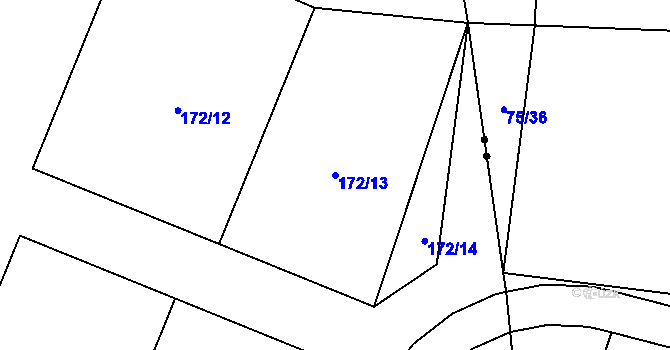 Parcela st. 172/13 v KÚ Načetín u Kalku, Katastrální mapa