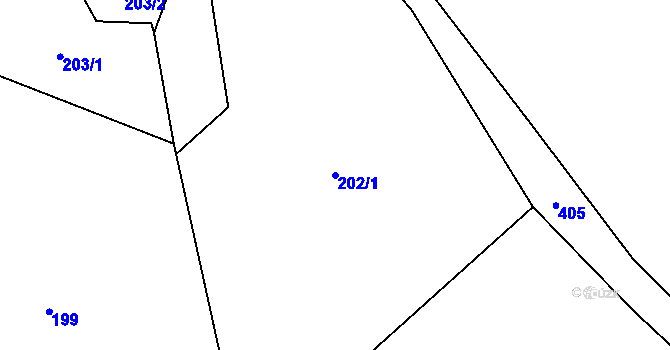 Parcela st. 202/1 v KÚ Kalenice, Katastrální mapa