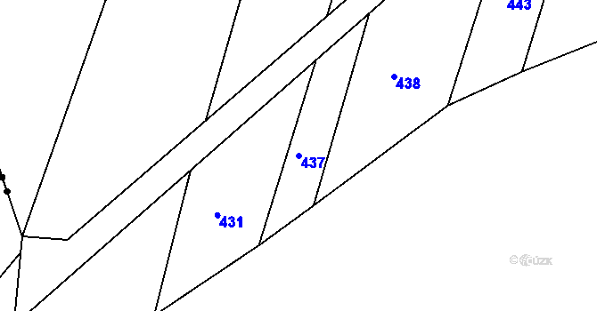 Parcela st. 437 v KÚ Zaliny, Katastrální mapa