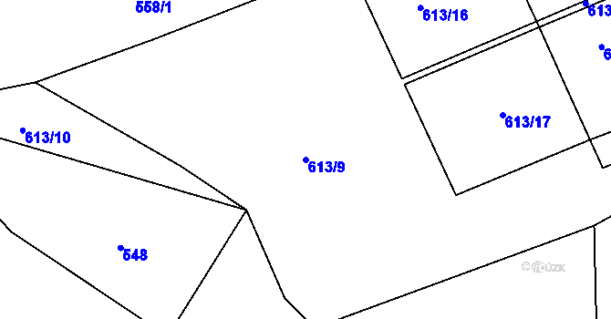 Parcela st. 613/9 v KÚ Zaliny, Katastrální mapa