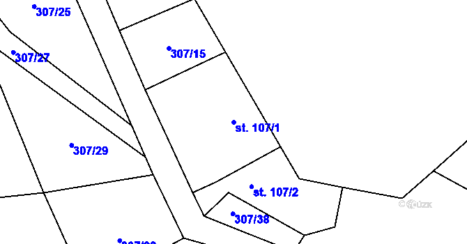 Parcela st. 107/1 v KÚ Kaliště, Katastrální mapa