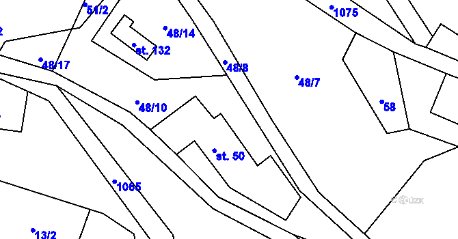 Parcela st. 48/9 v KÚ Rašovice u Kalovic, Katastrální mapa