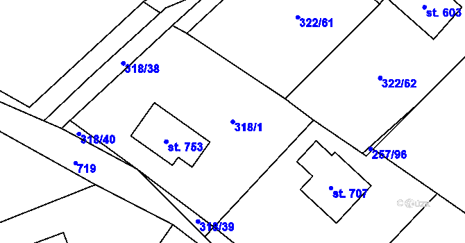 Parcela st. 318/1 v KÚ Štiřín, Katastrální mapa