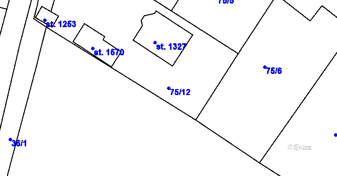 Parcela st. 75/12 v KÚ Těptín, Katastrální mapa