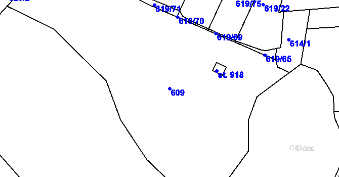 Parcela st. 609 v KÚ Těptín, Katastrální mapa