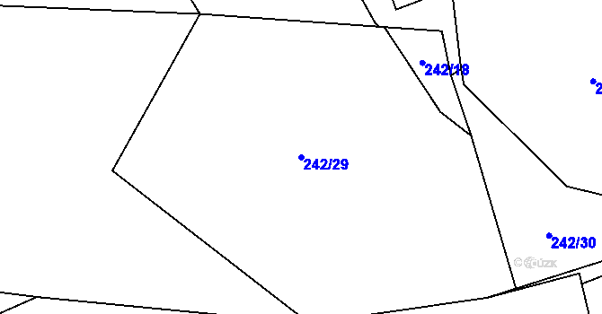 Parcela st. 242/29 v KÚ Těptín, Katastrální mapa