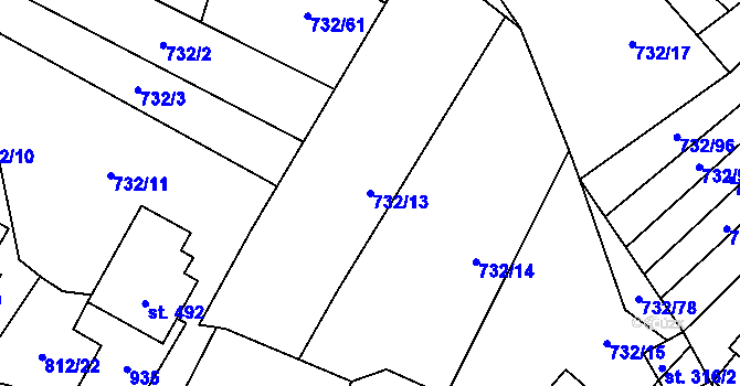 Parcela st. 732/13 v KÚ Kameničky, Katastrální mapa