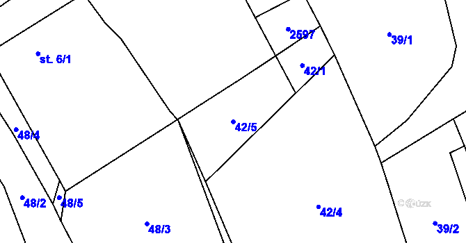 Parcela st. 42/5 v KÚ Kamenná u Trhových Svinů, Katastrální mapa