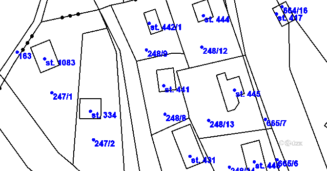 Parcela st. 441 v KÚ Kamenný Přívoz, Katastrální mapa