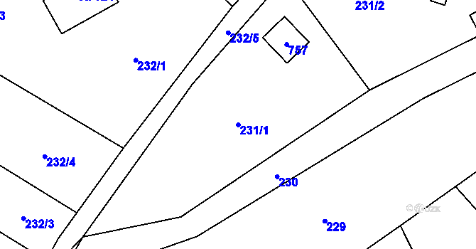 Parcela st. 231/1 v KÚ Kamenný Přívoz, Katastrální mapa