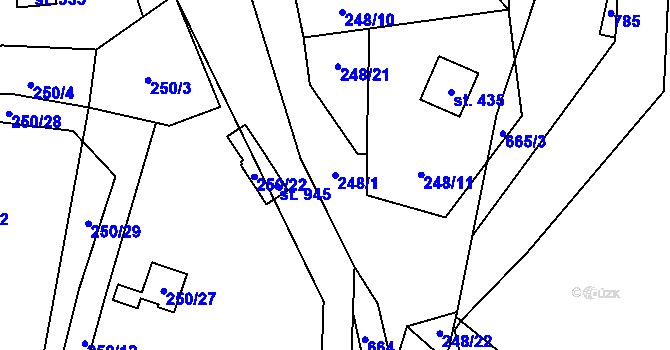 Parcela st. 248/1 v KÚ Kamenný Přívoz, Katastrální mapa