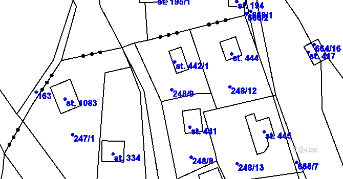 Parcela st. 248/9 v KÚ Kamenný Přívoz, Katastrální mapa