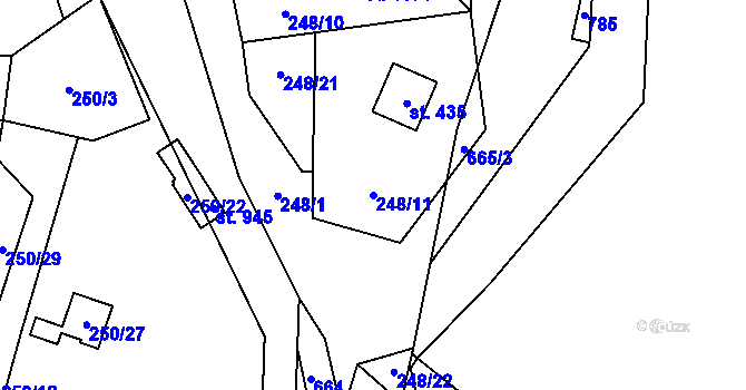 Parcela st. 248/11 v KÚ Kamenný Přívoz, Katastrální mapa