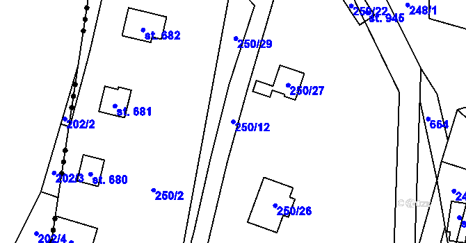 Parcela st. 250/12 v KÚ Kamenný Přívoz, Katastrální mapa