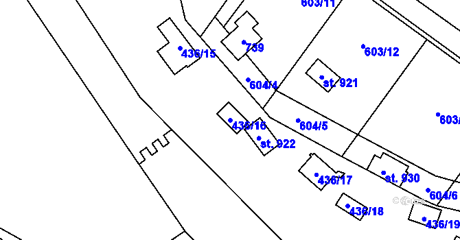 Parcela st. 436/16 v KÚ Kamenný Přívoz, Katastrální mapa