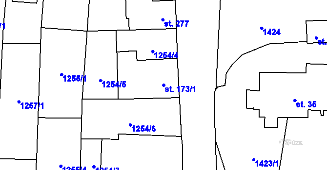 Parcela st. 173/1 v KÚ Kamenný Újezd, Katastrální mapa