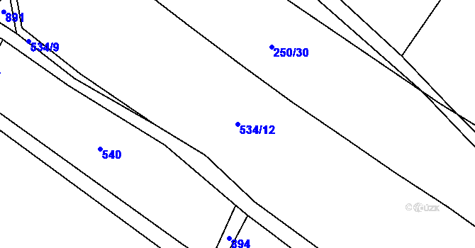 Parcela st. 534/12 v KÚ Kamenný Újezd u Rokycan, Katastrální mapa