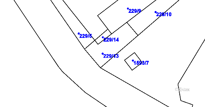 Parcela st. 229/13 v KÚ Kanice u Domažlic, Katastrální mapa