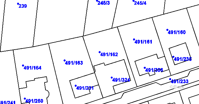 Parcela st. 491/162 v KÚ Kanice, Katastrální mapa
