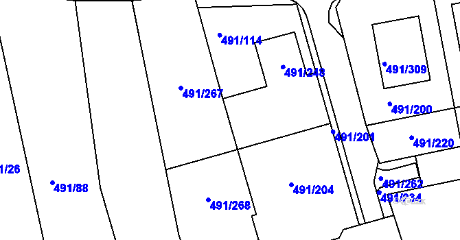Parcela st. 491/202 v KÚ Kanice, Katastrální mapa