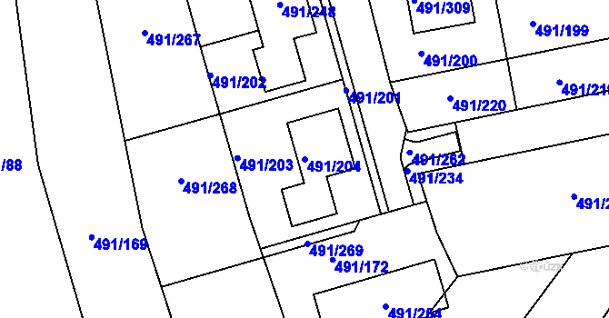 Parcela st. 491/204 v KÚ Kanice, Katastrální mapa