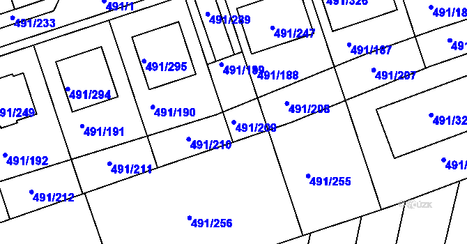 Parcela st. 491/209 v KÚ Kanice, Katastrální mapa
