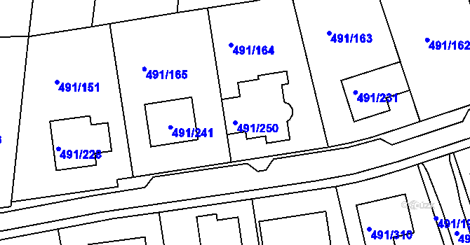 Parcela st. 491/250 v KÚ Kanice, Katastrální mapa