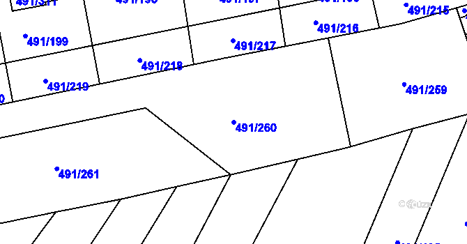Parcela st. 491/260 v KÚ Kanice, Katastrální mapa
