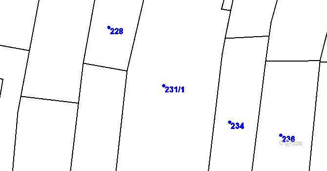 Parcela st. 231/1 v KÚ Kanice, Katastrální mapa