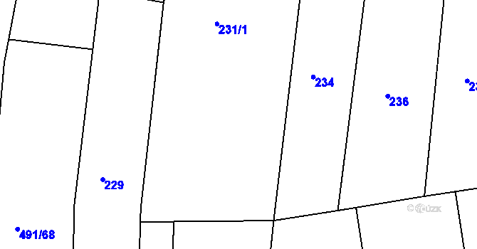 Parcela st. 232/1 v KÚ Kanice, Katastrální mapa