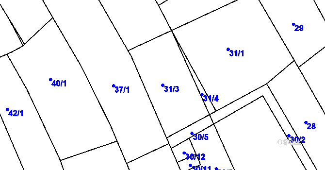 Parcela st. 31/3 v KÚ Kanice, Katastrální mapa