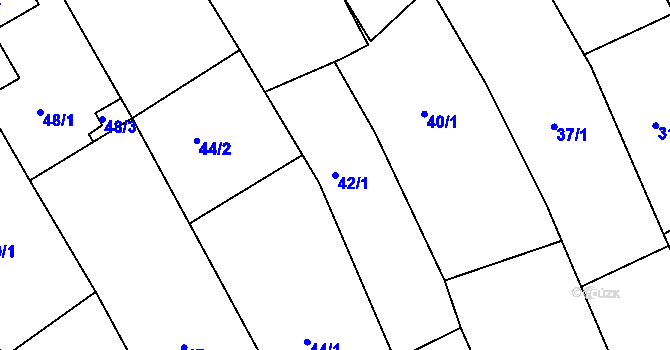 Parcela st. 42/1 v KÚ Kanice, Katastrální mapa