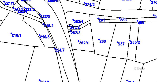 Parcela st. 262/1 v KÚ Kanice, Katastrální mapa