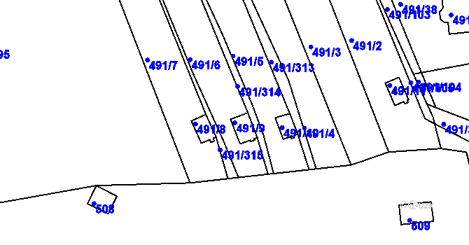Parcela st. 491/9 v KÚ Kanice, Katastrální mapa