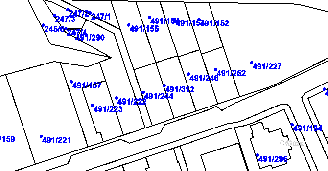 Parcela st. 491/312 v KÚ Kanice, Katastrální mapa