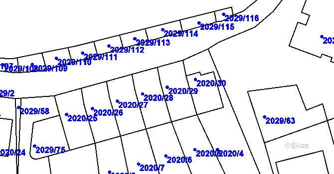 Parcela st. 2020/29 v KÚ Kaplice, Katastrální mapa