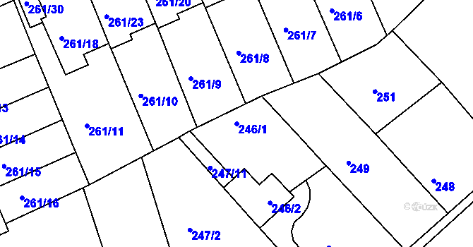 Parcela st. 246/1 v KÚ Dvory, Katastrální mapa