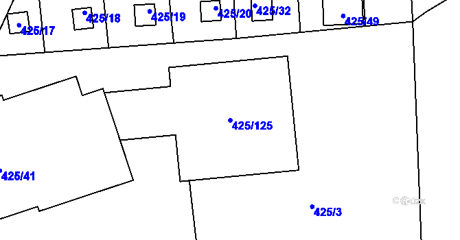 Parcela st. 425/125 v KÚ Dvory, Katastrální mapa