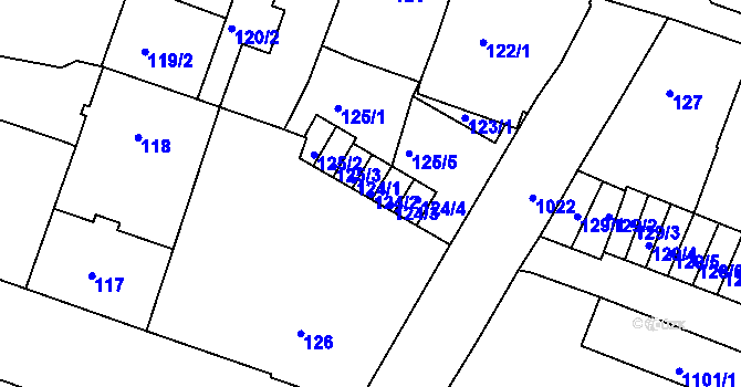 Parcela st. 124/2 v KÚ Rybáře, Katastrální mapa