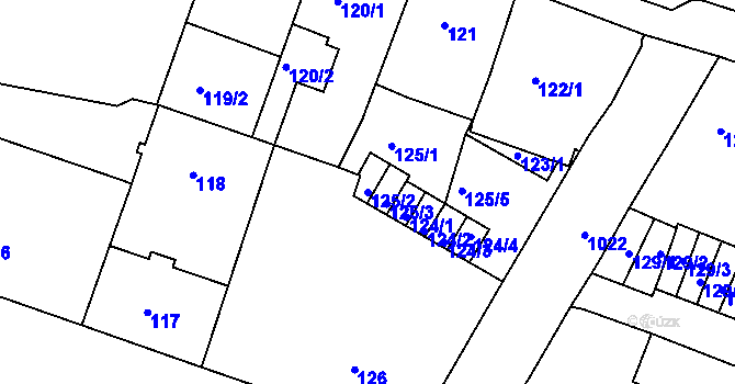 Parcela st. 125/2 v KÚ Rybáře, Katastrální mapa