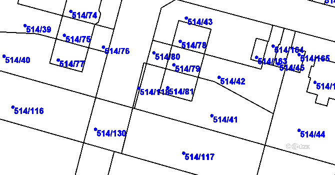 Parcela st. 514/81 v KÚ Rybáře, Katastrální mapa