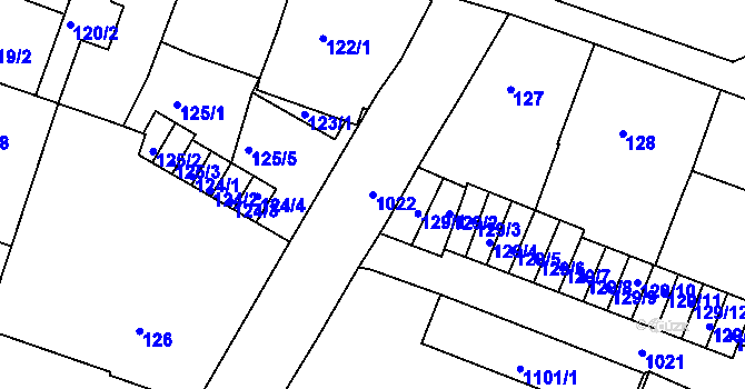 Parcela st. 1022 v KÚ Rybáře, Katastrální mapa