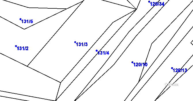 Parcela st. 131/4 v KÚ Karolín, Katastrální mapa